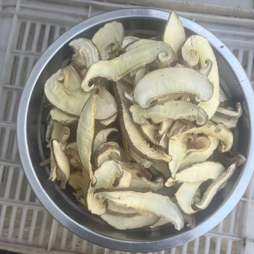 干香菇干香菇脚香菇颗粒等香菇产品，基地直供，欢迎联系