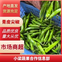 【优选】广东湛江青皮尖椒大量基地货源，质量保证，一手货源