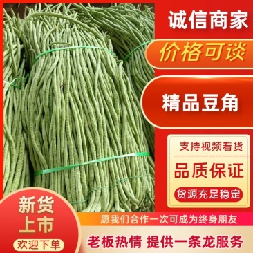 豆角广东湛江豆角产地直发品质高价格低对接全国市场