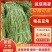 豆角广东湛江豆角产地直发品质高价格低对接全国市场
