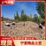 青薯9号土豆宁夏土豆大量供应中产地直发品质保障