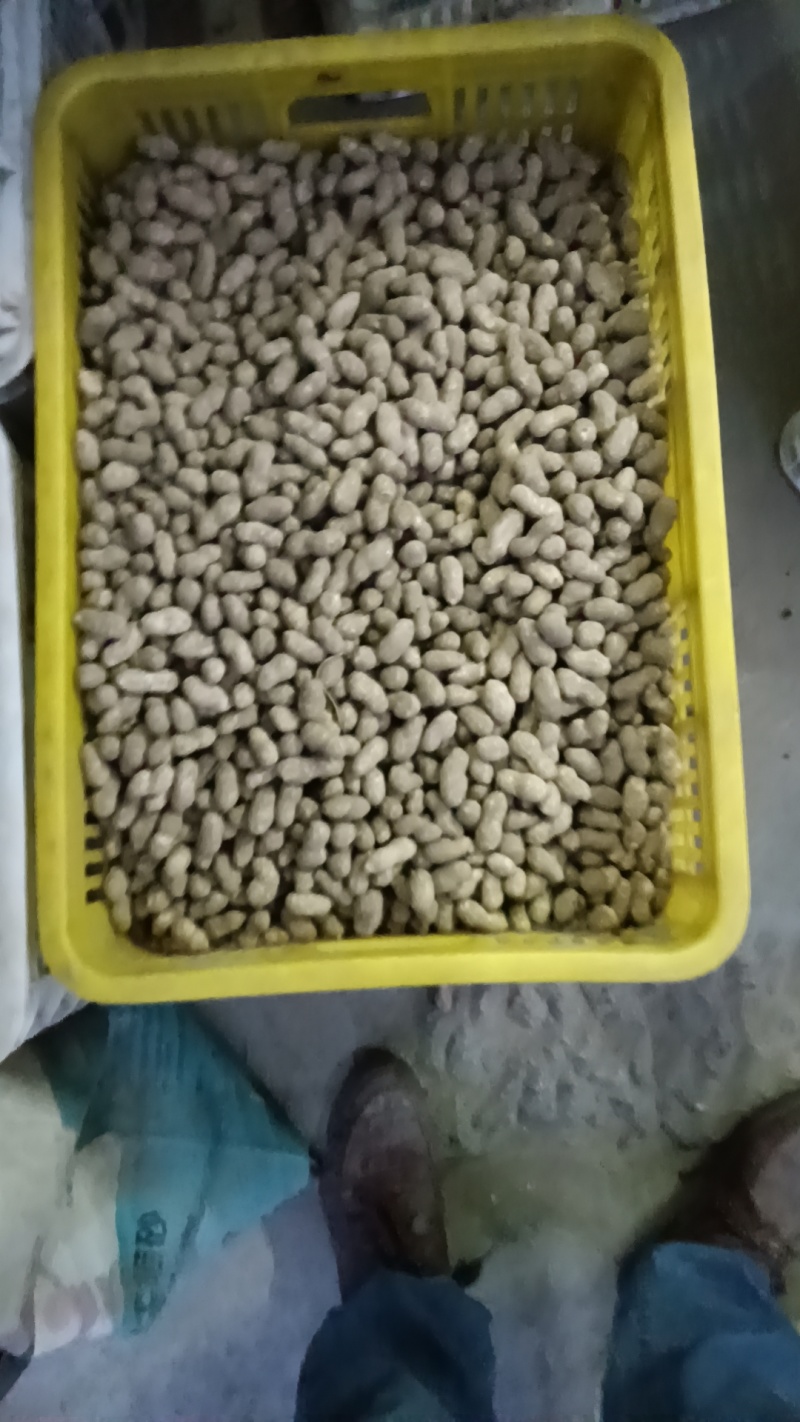 潮花生大量上市欢迎老板联系对接全国电话联