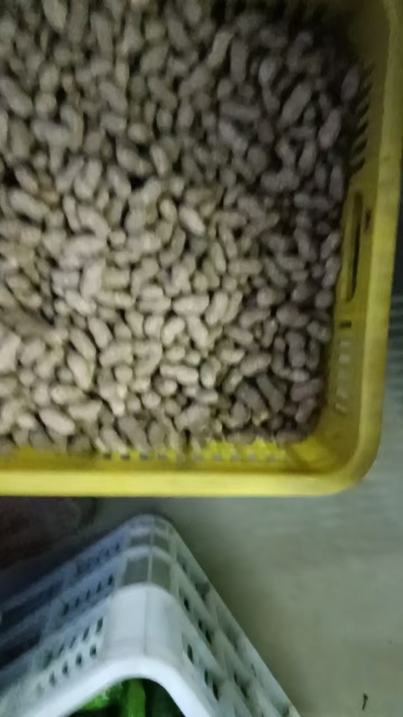 潮花生大量上市欢迎老板联系对接全国电话联