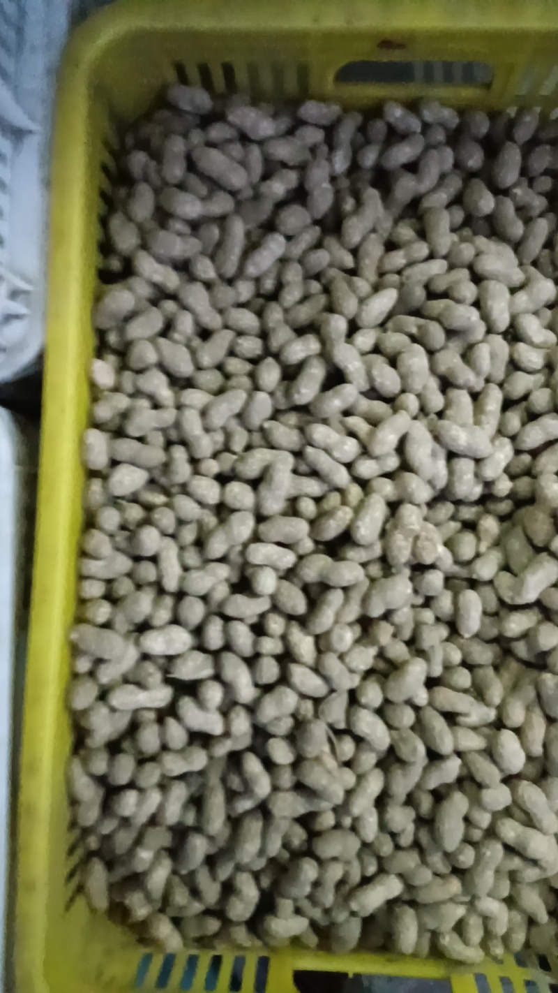 潮花生大量上市欢迎老板联系对接全国电话联
