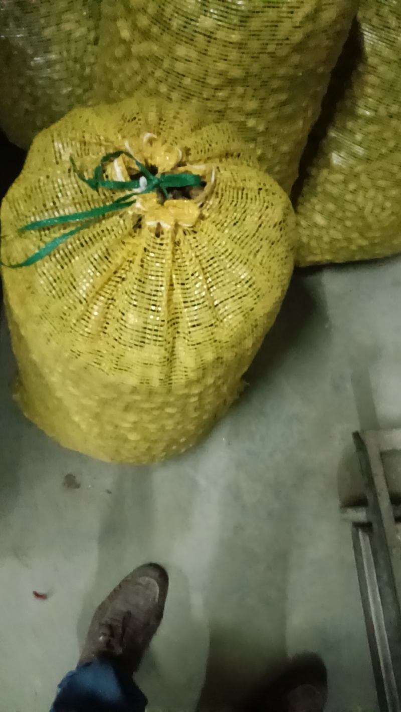 潮花生大量上市欢迎老板联系对接全国电话联