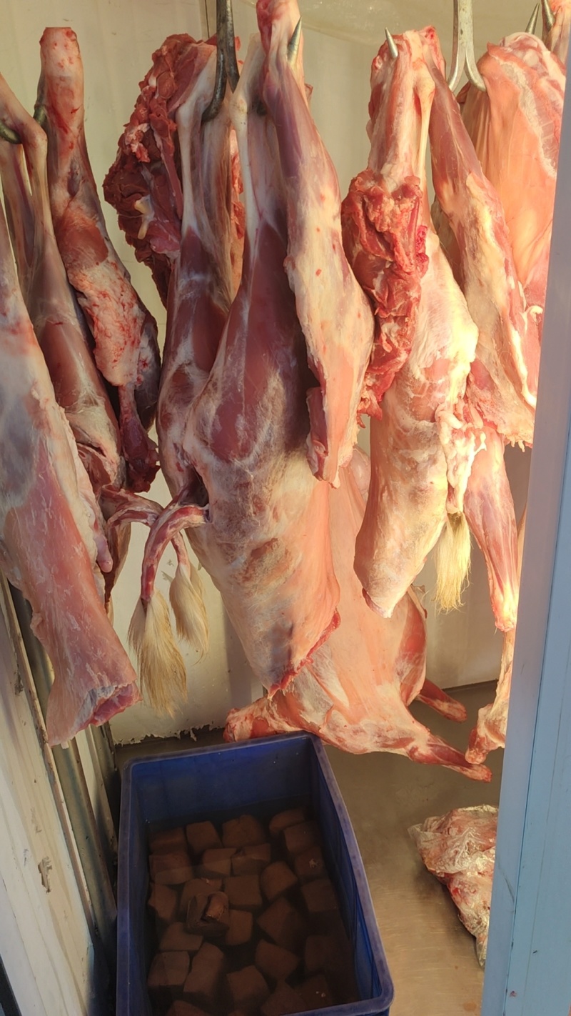 剔骨羊肉白条羊山羊可对接烤全羊羊汤馆欢迎联系