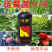 狂爵小叶黄叶药害抗逆增产卷叶落叶落果枯萎小苗弱苗烂根