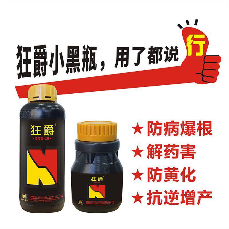 狂爵小叶黄叶药害抗逆增产卷叶落叶落果枯萎小苗弱苗烂根