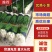 优质小葱，香葱小葱35~40cm，产地直供大量有货欢迎采购