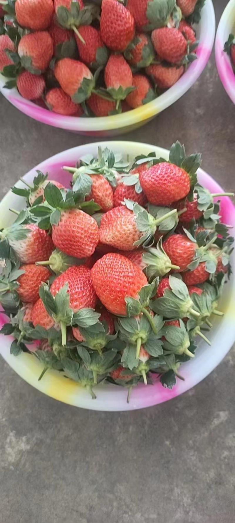 草莓蒙特瑞草莓