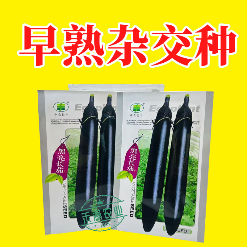 黑亮长茄种籽早熟茄子种子中农长丰茄子种孑亩产万斤四季蔬菜