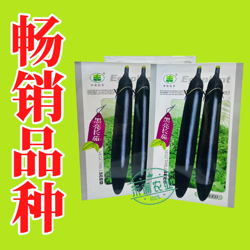 黑亮长茄种籽早熟茄子种子中农长丰茄子种孑亩产万斤四季蔬菜