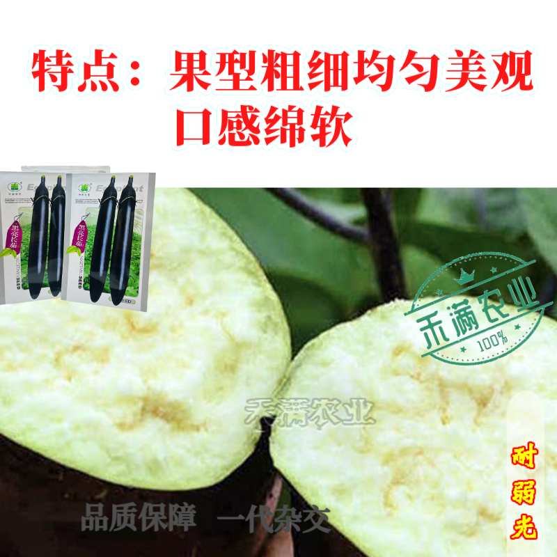 黑亮长茄种籽早熟茄子种子中农长丰茄子种孑亩产万斤四季蔬菜