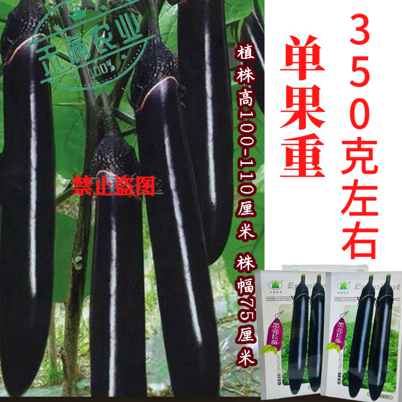 黑亮长茄种籽早熟茄子种子中农长丰茄子种孑亩产万斤四季蔬菜