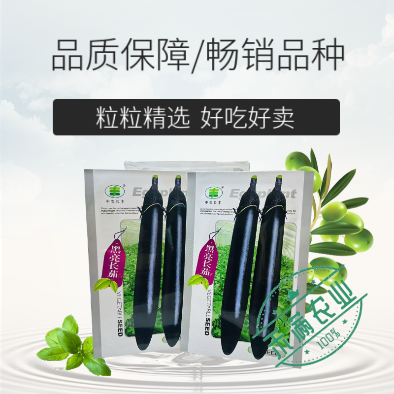 黑亮长茄种籽早熟茄子种子中农长丰茄子种孑亩产万斤四季蔬菜