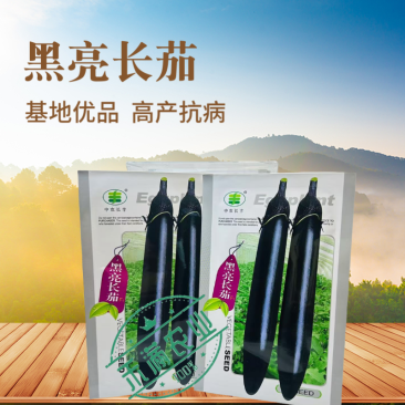黑亮长茄种籽早熟茄子种子中农长丰茄子种孑亩产万斤四季蔬菜