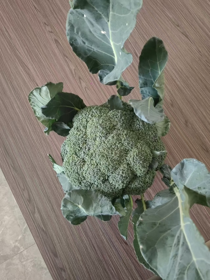 西兰花