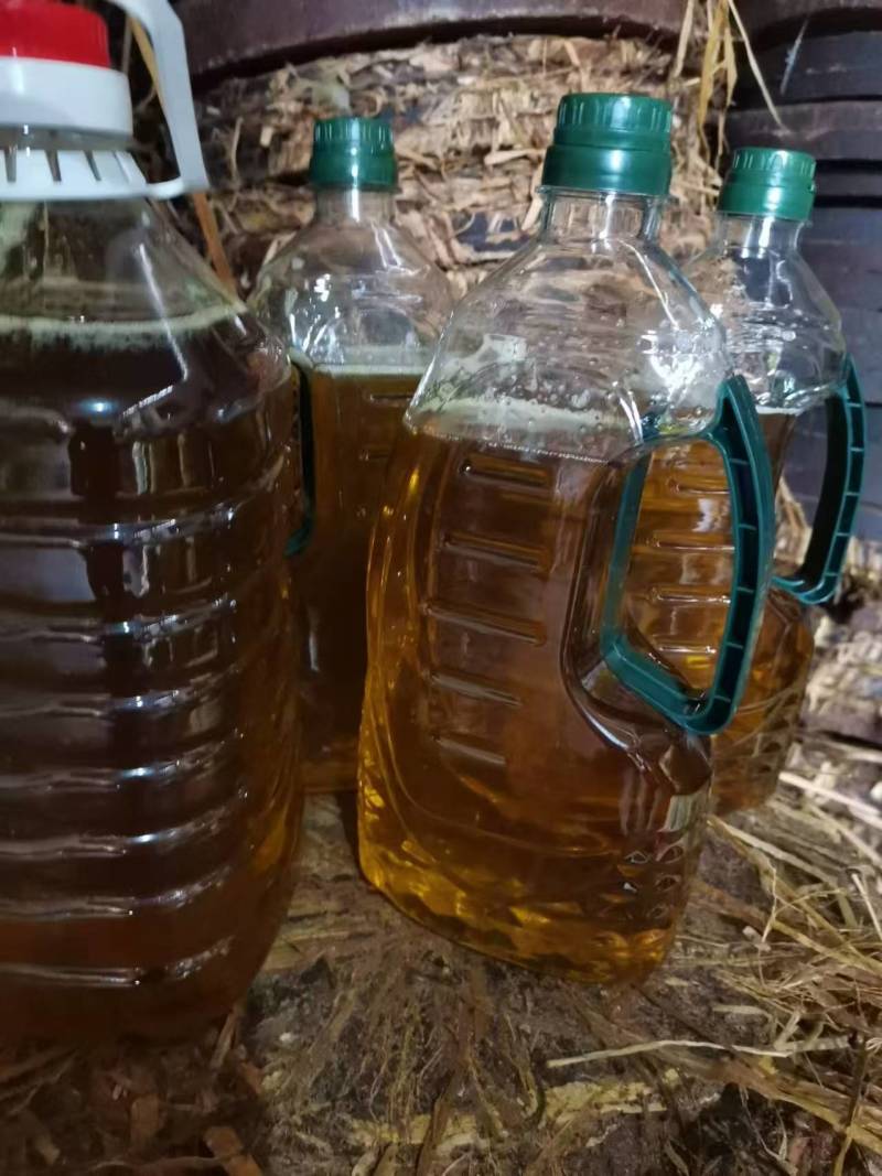 【实力推荐】野生山茶油产地直发传统压榨可视频看货