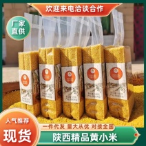 新米脂黄小米农家自产食用好吃米脂小米五谷杂粮粥用米