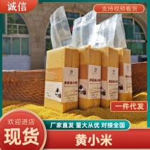 （一件代发）陕西米脂黄小米当季新米农家自产小黄米月子米