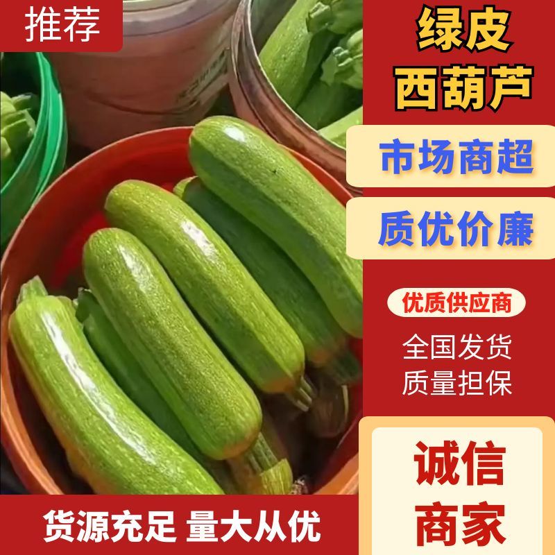 【牛商精选】云南西葫芦绿皮西葫芦-产地直发-价格优惠