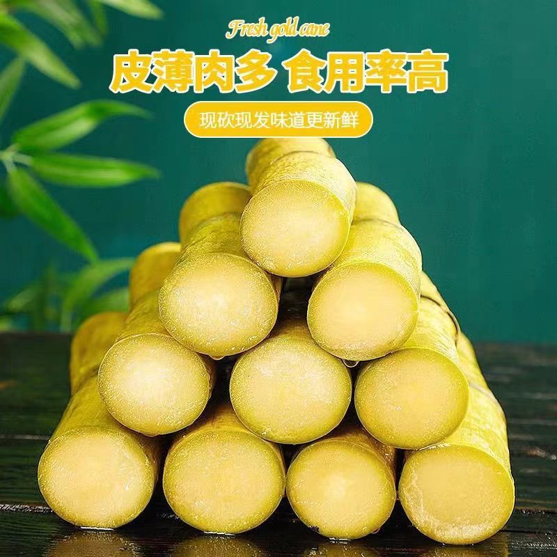 云南黄金甘蔗，黄皮甘蔗，口感酥甜，大量供应市场电商。