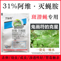 70%阿维灭蝇胺杀虫剂美洲斑潜蝇潜叶蛾鬼画符地图虫瓜果蝇