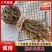 河南精品干豆角/一手货源/保质保量/量大优惠/可线上交易