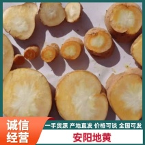 河南安阳地黄干地黄质量保证量大优惠可视频看货