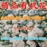 松花菜有机花青梗白面菜花乳白小米粒大量供应电商