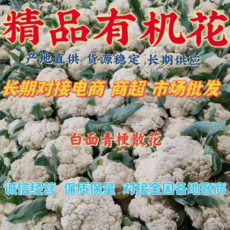 松花菜有机花青梗白面菜花乳白小米粒大量供应电商