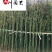 刚竹产地批发2-4米刚竹价格成都基地直供优惠价