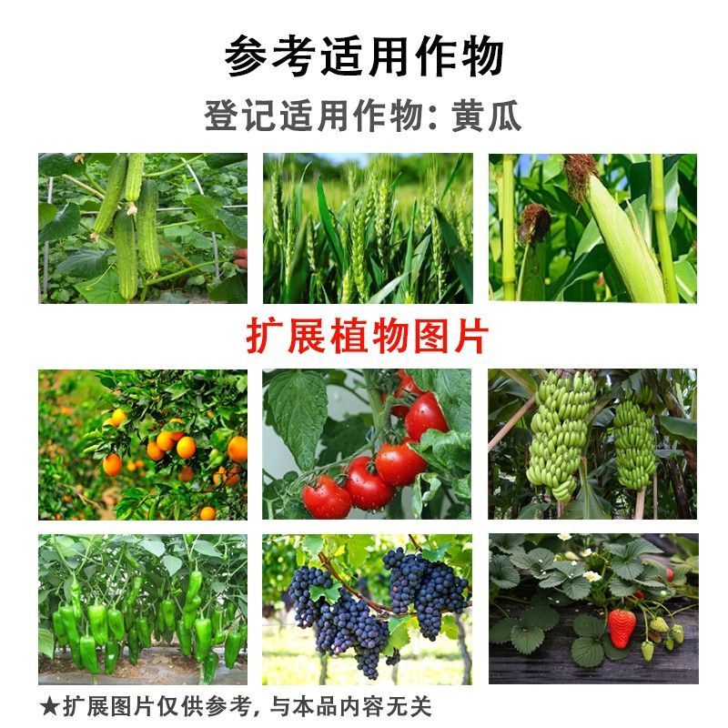 麒丁32%苯甲吡唑酯苯醚甲环唑白粉病炭疽病叶斑农用杀菌剂