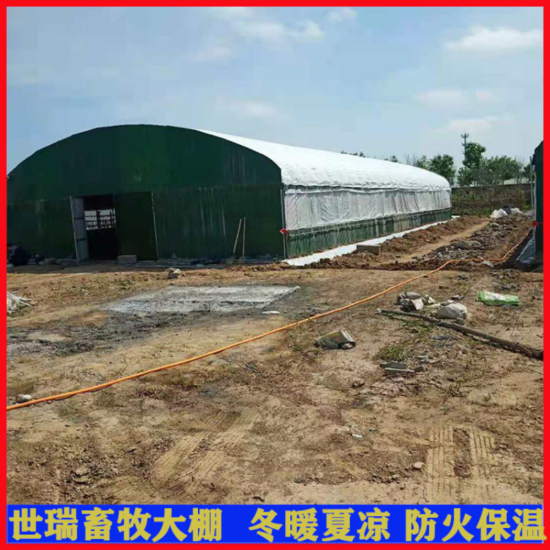 养鹅大棚施工大棚式鹅棚搭建散养鹅棚建设厂家