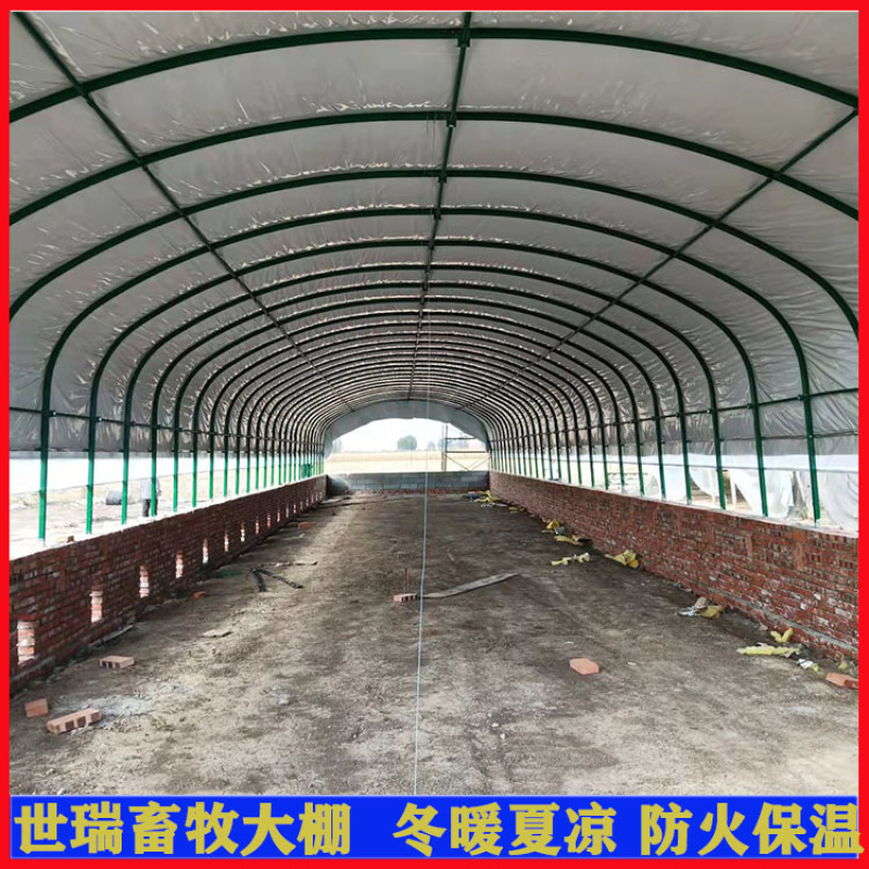 养鹅大棚施工大棚式鹅棚搭建散养鹅棚建设厂家