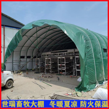 养鸡场鸡棚搭建肉鸡养殖大棚建设鸡舍大棚施工厂家
