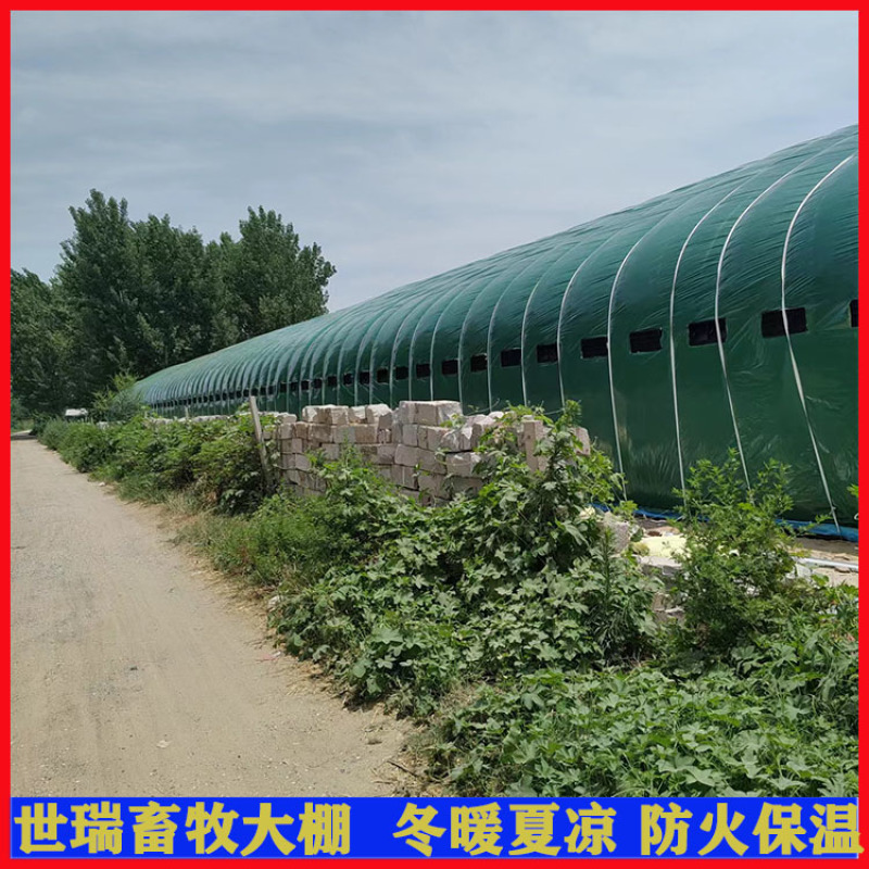 养鸡场鸡棚搭建肉鸡养殖大棚建设鸡舍大棚施工厂家