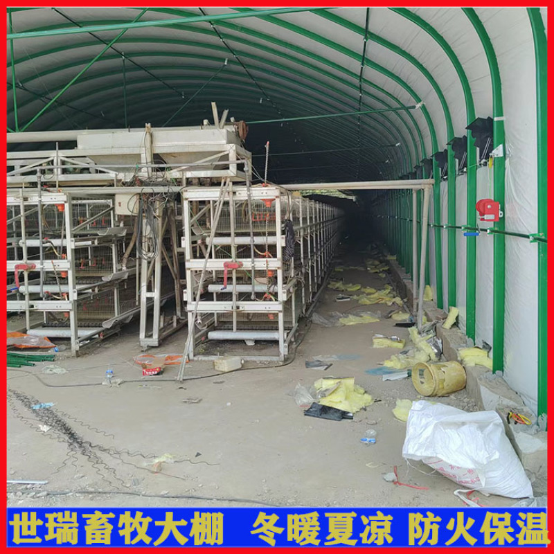 养鸡场鸡棚搭建肉鸡养殖大棚建设鸡舍大棚施工厂家