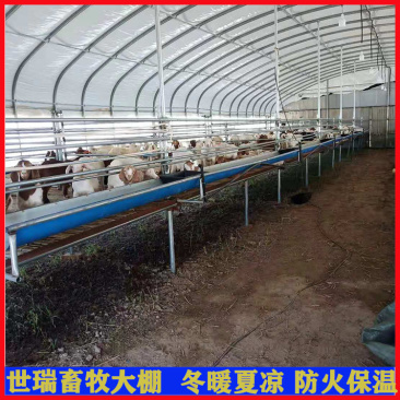 养羊场羊棚搭建羊舍大棚建设山羊养殖大棚施工厂家