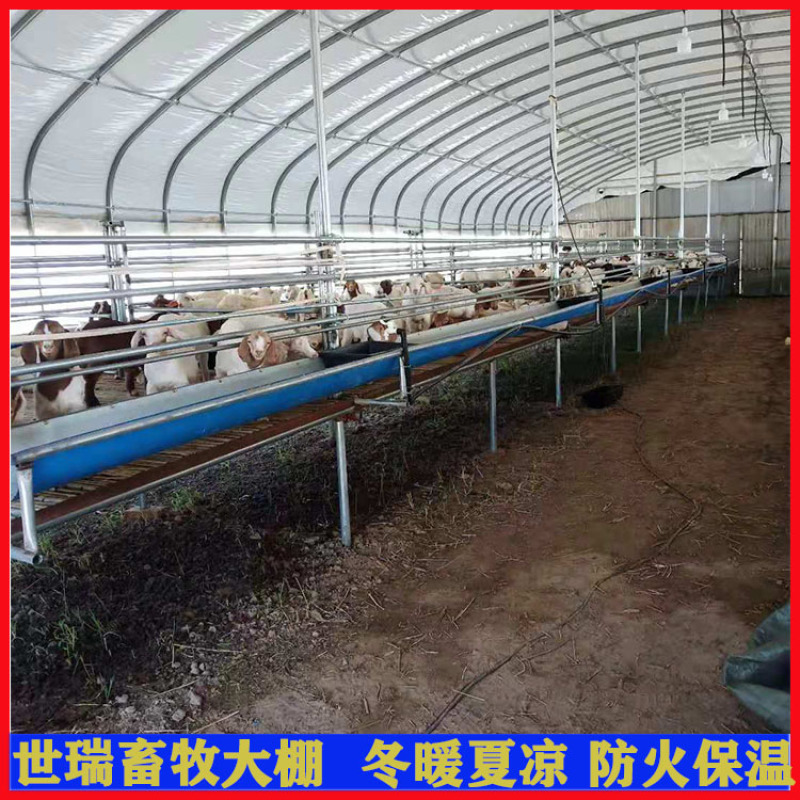 养羊场羊棚搭建羊舍大棚建设山羊养殖大棚施工厂家