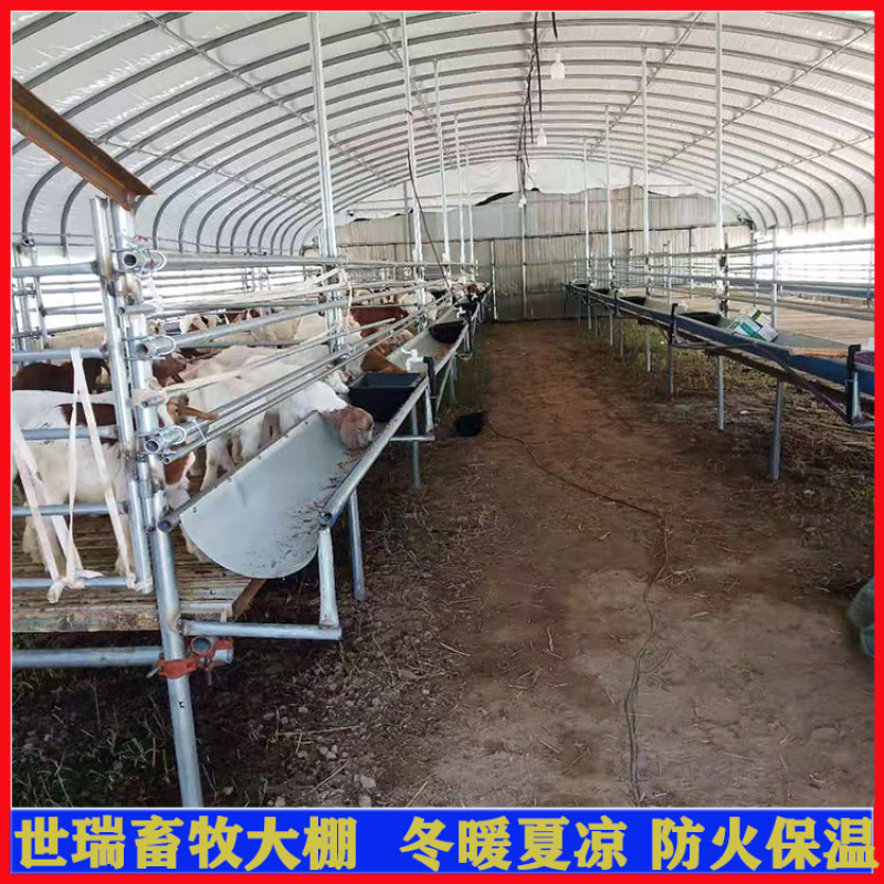 养羊场羊棚搭建羊舍大棚建设山羊养殖大棚施工厂家