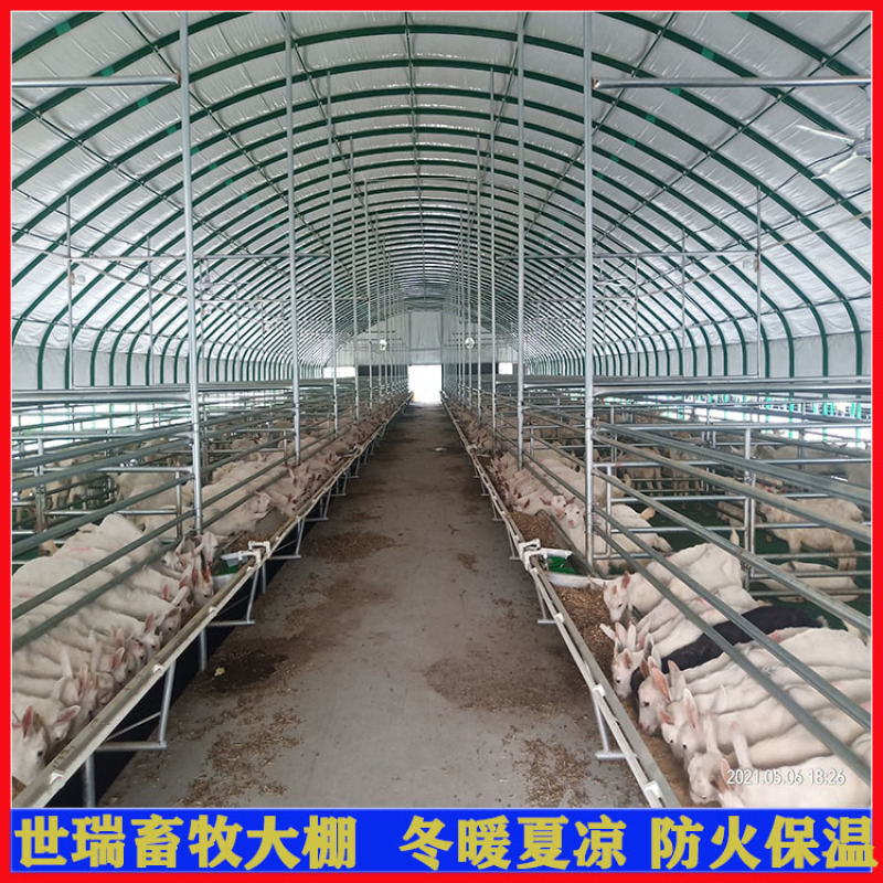 养羊场羊棚搭建羊舍大棚建设山羊养殖大棚施工厂家