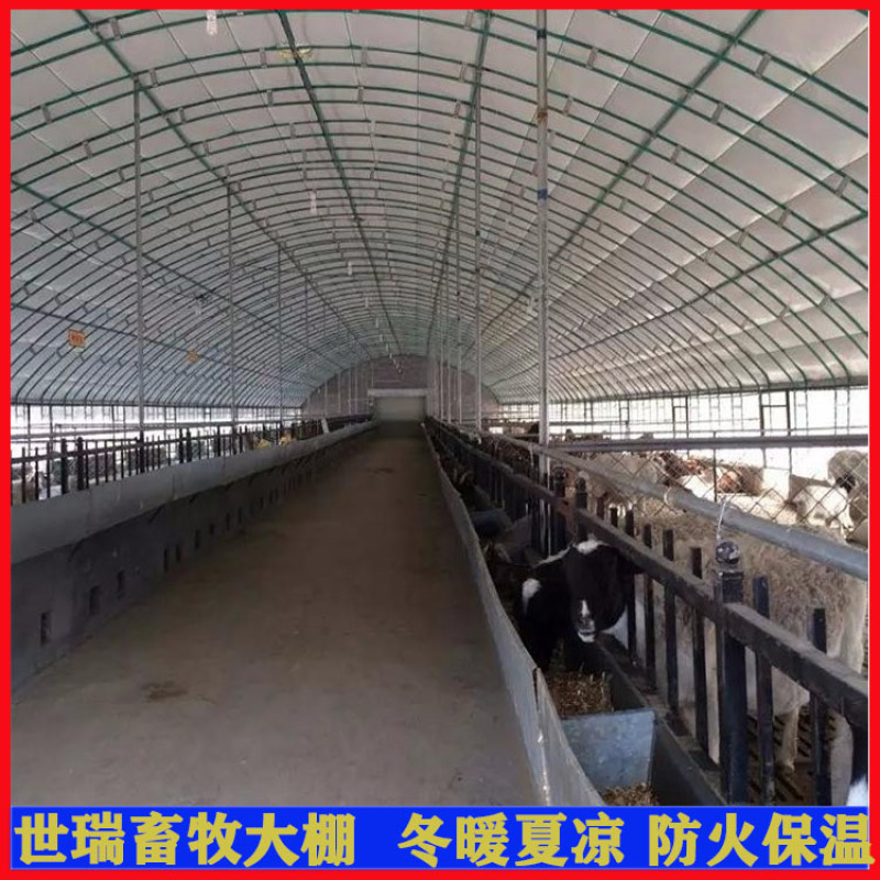 养羊场羊棚搭建羊舍大棚建设山羊养殖大棚施工厂家
