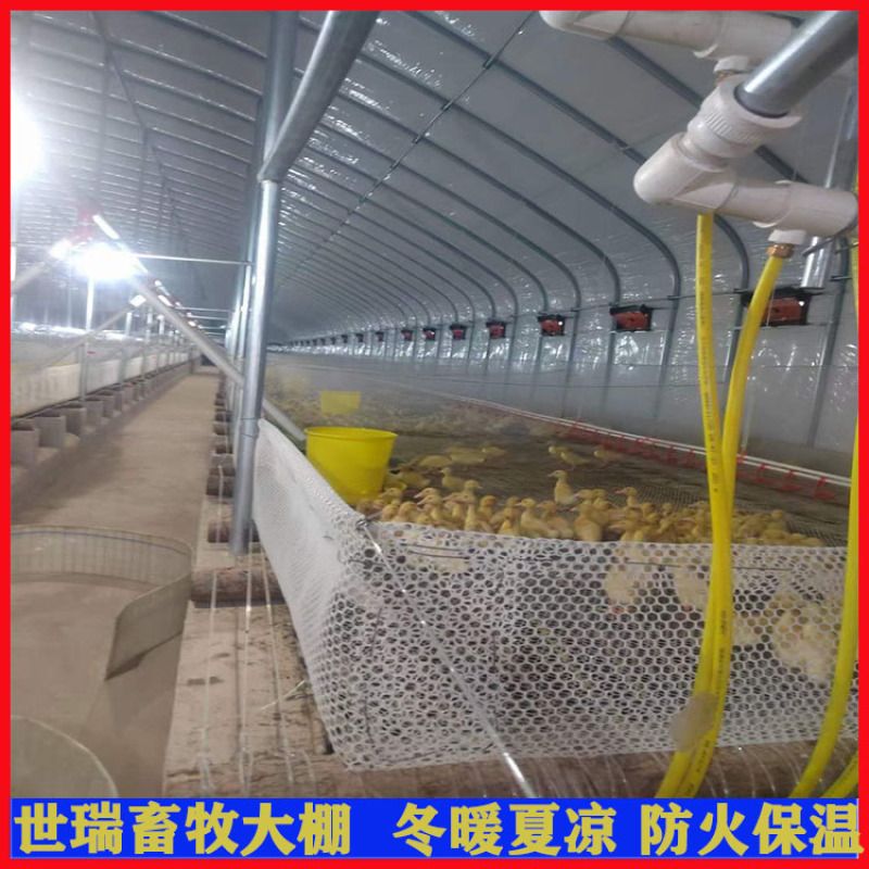 全封闭养鸭棚建设肉鸭养殖大棚搭建鸭舍大棚施工厂家