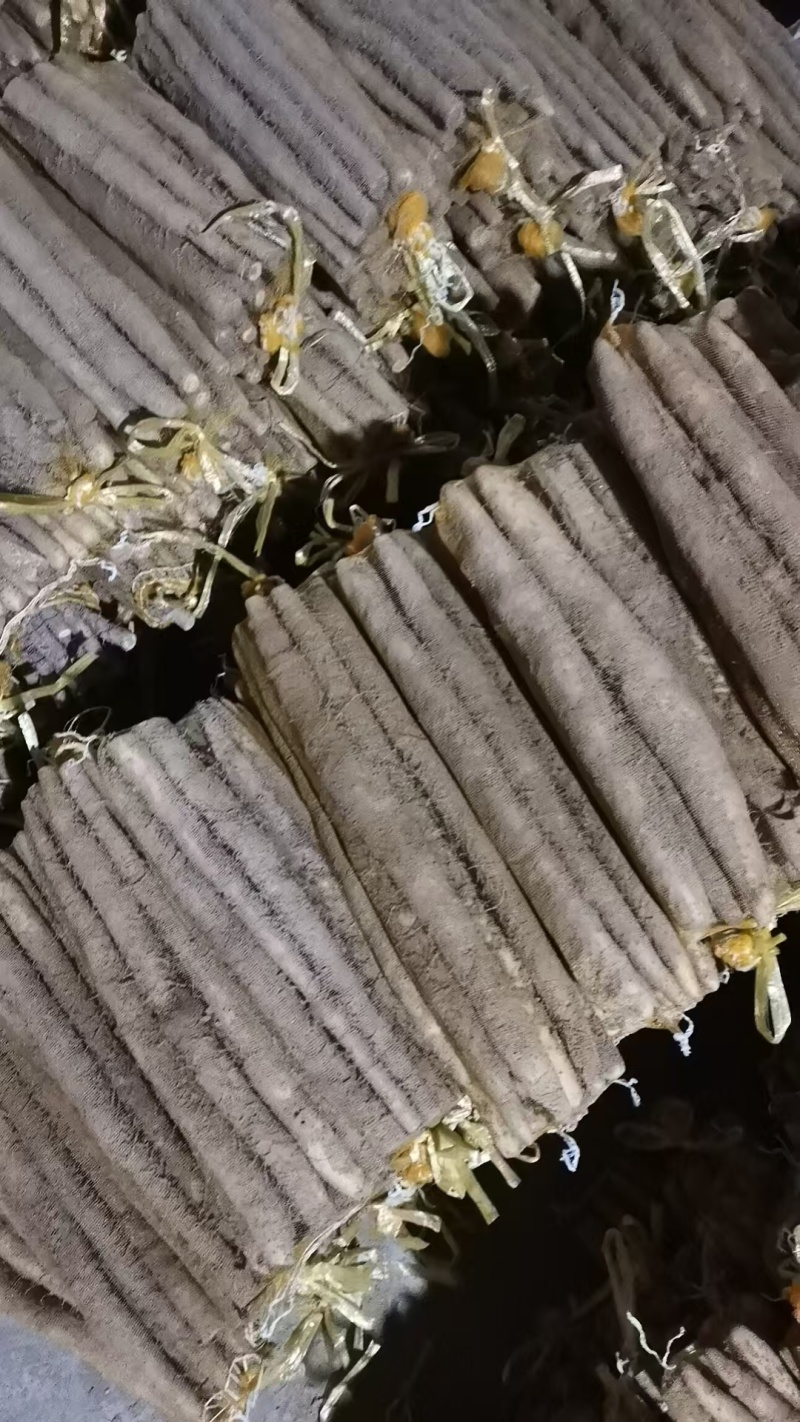 河北山药小白嘴白山药网兜货带土和水洗都有欢迎联系