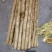 河北山药小白嘴白山药网兜货带土和水洗都有欢迎联系