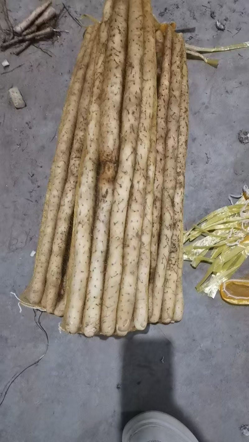 河北山药小白嘴白山药网兜货带土和水洗都有欢迎联系
