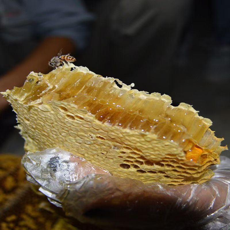 精品纯蜂蜜现货先发一件起批欢迎咨询