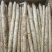 河北山药小白嘴白山药40以上的好散货，有粗度，条形好