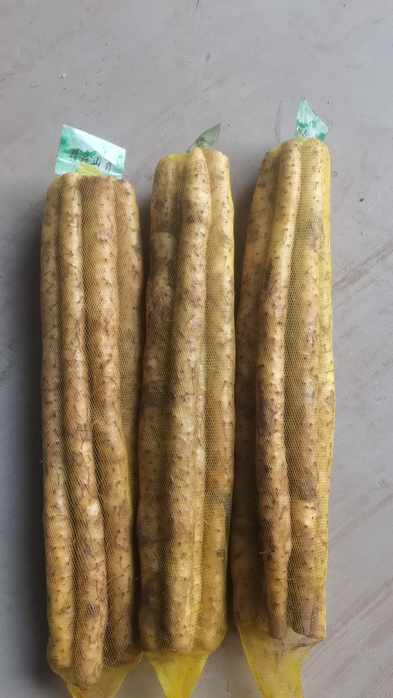 河北山药小白嘴白山药40以上的好散货，有粗度，条形好